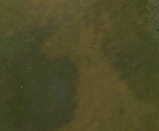 Brass coupon after exposure to ammonia