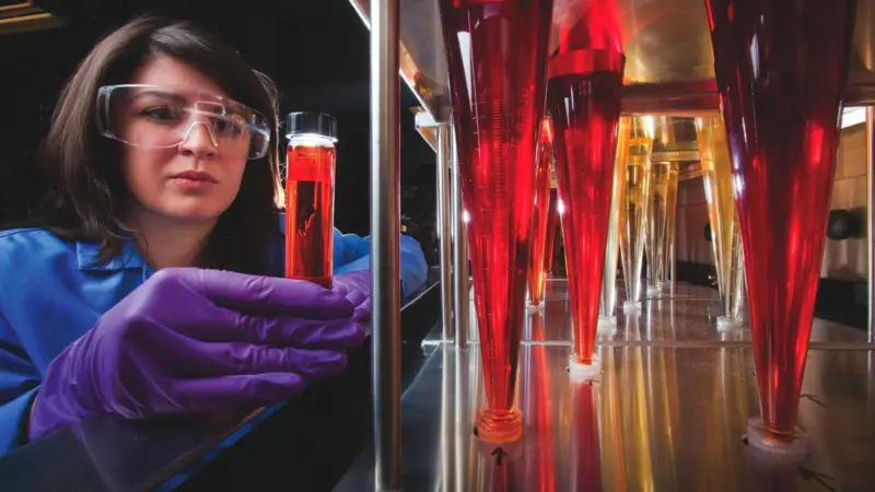 ExxonMobil has initiated laboratory studies to explore the effects of ammonia/oil blends on lubricant characteristics and performance, Willie Givens, Marine Technology Solutions Principal at ExxonMobil told The Motorship.