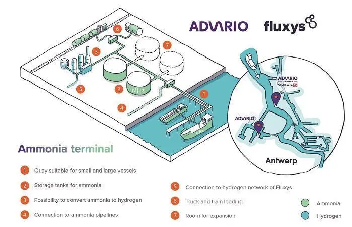 The partnership is studying the feasibility of building an open-access green ammonia import terminal at the Port of Antwerp-Bruges