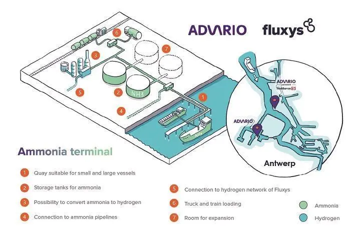 The partnership is studying the feasibility of building an open-access green ammonia import terminal at the Port of Antwerp-Bruges