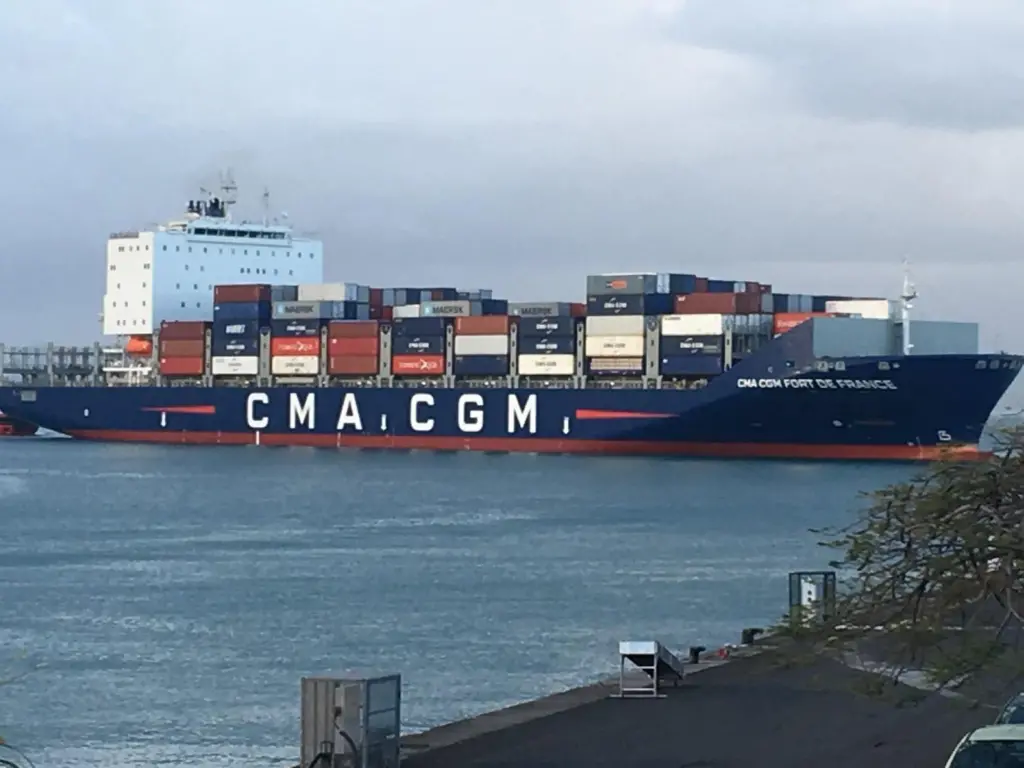 The new larger capacity dual-fuel vessels will replace smaller capacity vessels, such as the 3,500 TEU CMA CGM Fort de France (pictured) from 2024.