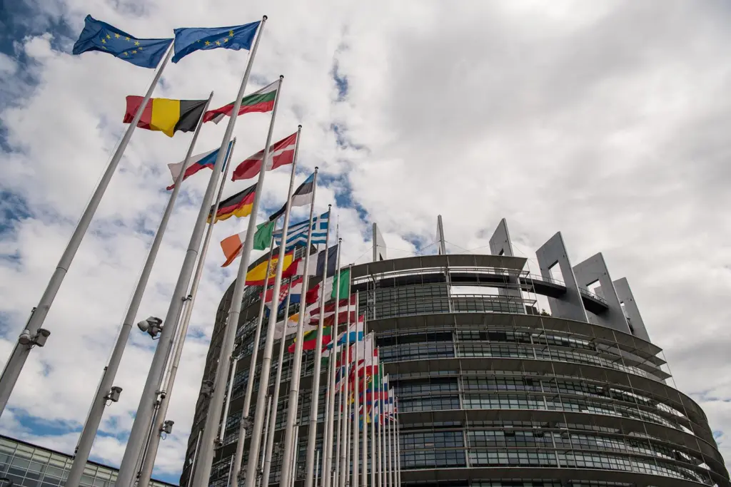 ECSA and ESPO are among the European maritime organisations calling on the European Parliament to earmark maritime ETS revenues for the maritime sector.