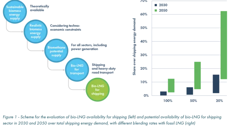 The study's findings suggest that pure bioLNG could cover up to 3% of the total energy demand for shipping fuels in 2030 and 13% in 2050.