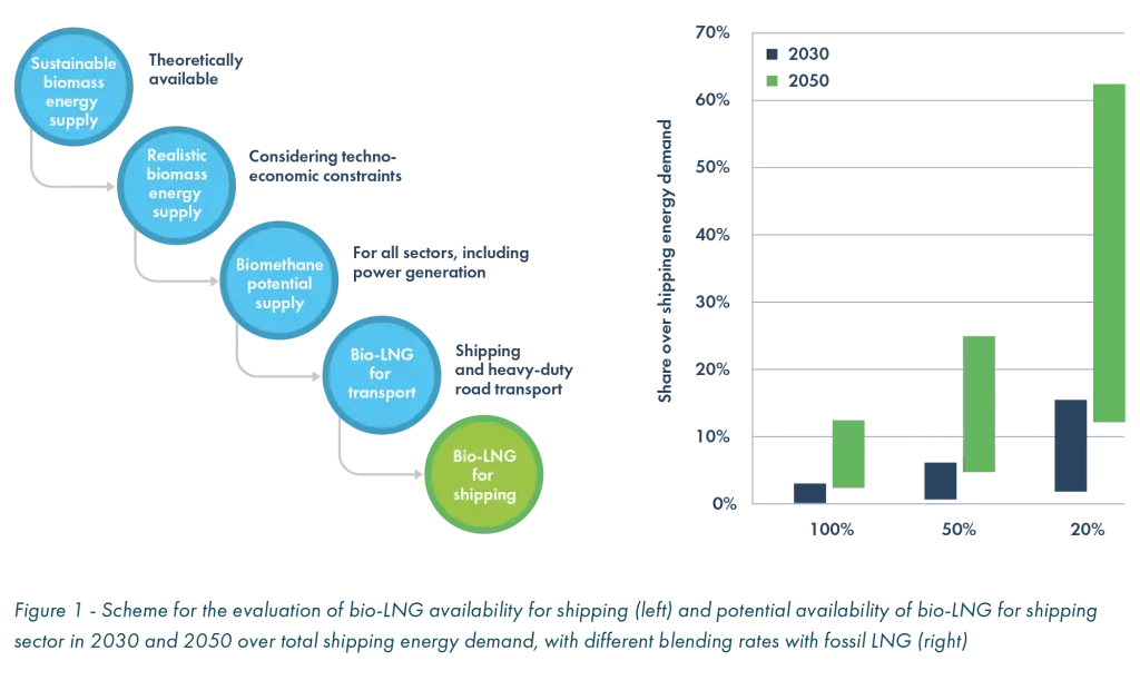 The study's findings suggest that pure bioLNG could cover up to 3% of the total energy demand for shipping fuels in 2030 and 13% in 2050.