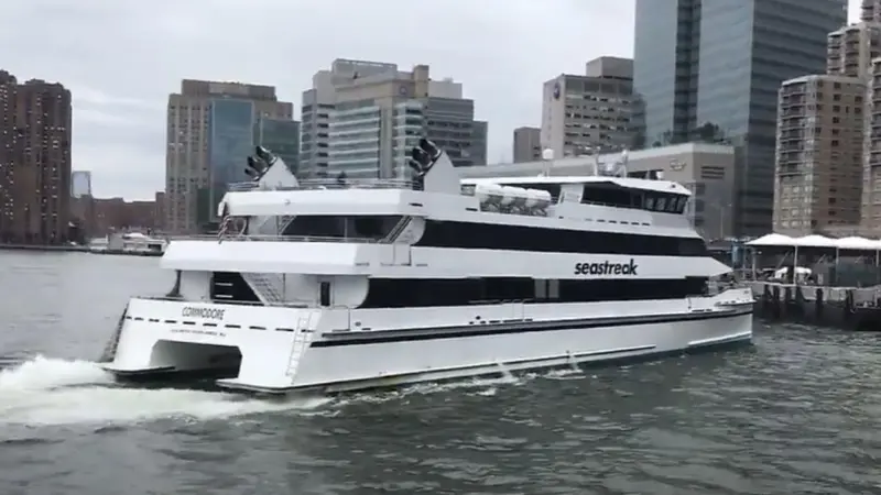 A software flaw contributed to the grounding of the Commodore, a passenger ferry in New York City, USA.