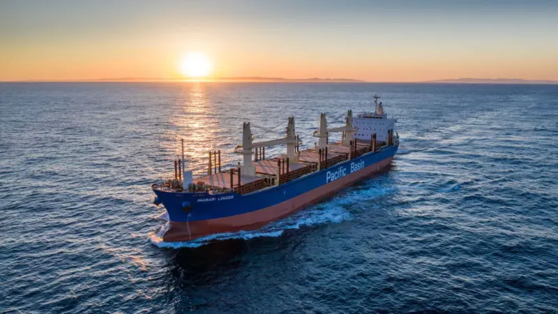 Pacific Basin Shipping has concluded that green methanol is the best fuel for its upcoming vessels.