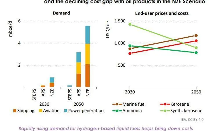 The IEA anticipates that the emergence of demand for ammonia and other hydrogen-based energy carriers by 2030 will pay an important role in determining future demand by 2050.