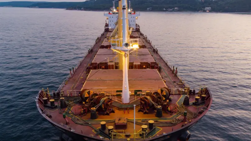 A study by Environmental Defence Fund, Ricardo and LR identifies a number of potential ecological impacts arising from the use of ammonia as a fuel.