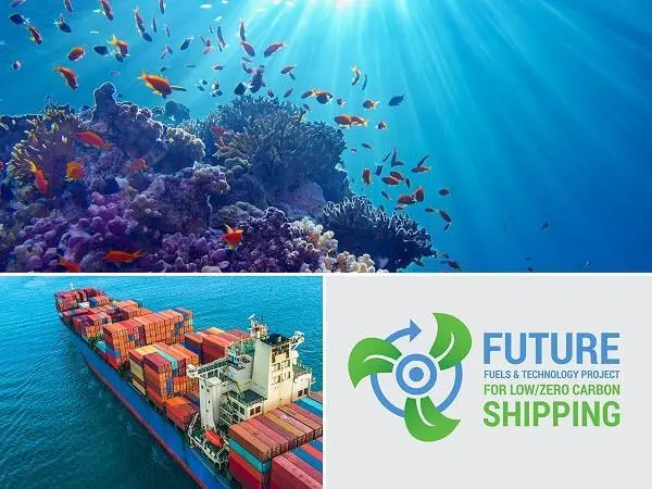 IMO-FFT-Project
