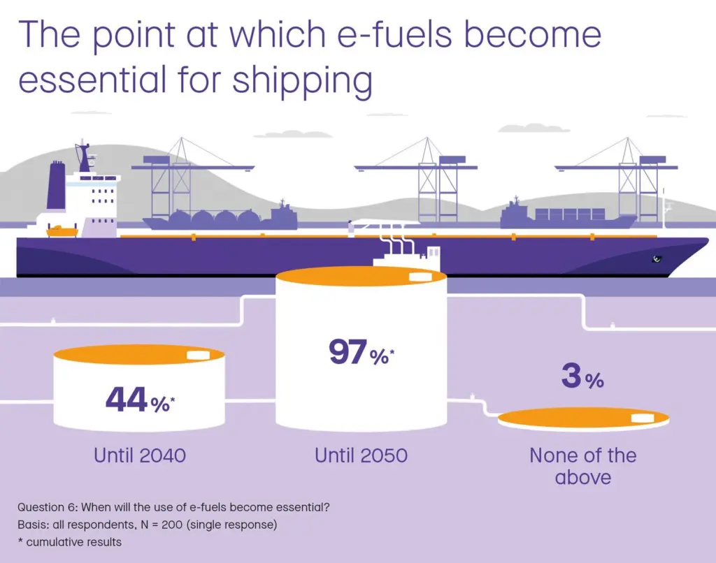 Infographic E-Fuel Survey_EN