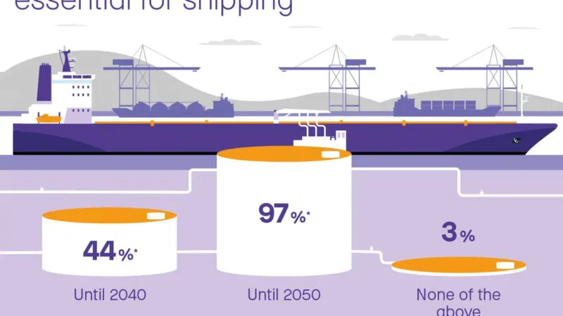 Infographic E-Fuel Survey_EN