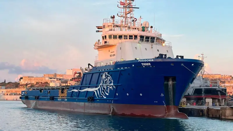 Posidonia-Tiger