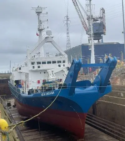 The 'Ocean Endeavour' in drydock where Thordon’s SXL rudder bearing was installed