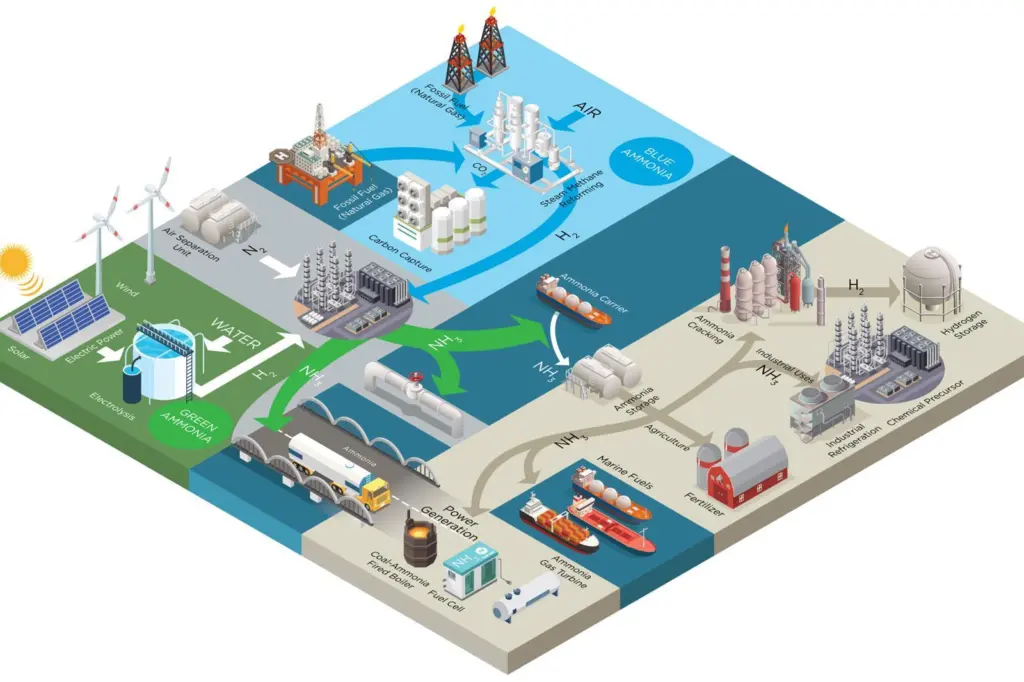 Ammonia value chain