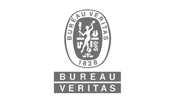 BV LOGO