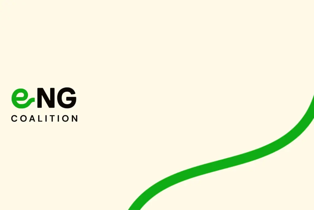 e-NG Coalition logo