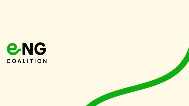 e-NG Coalition logo