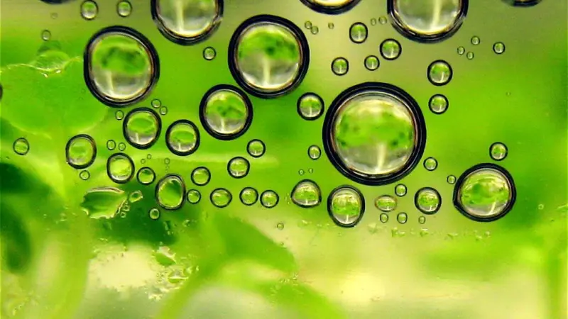 Biofuels picture with green blobs