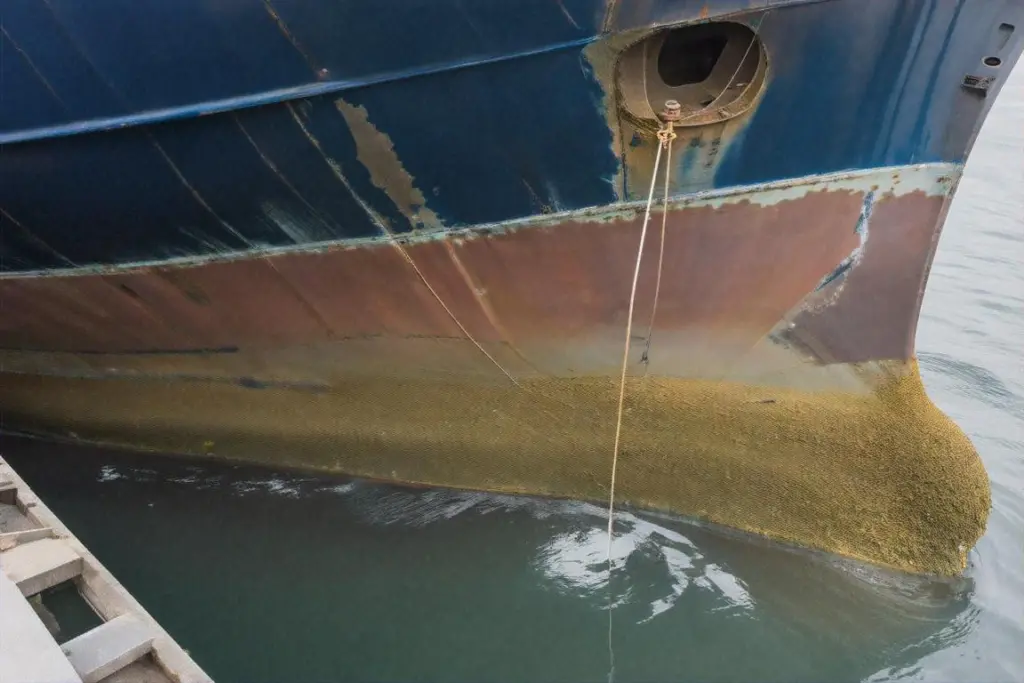 hull fouling