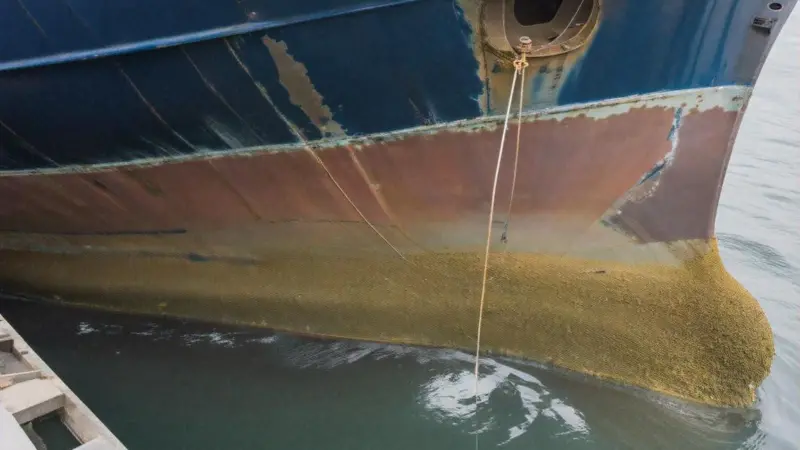 hull fouling