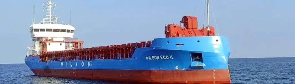 Wilson Eco II
