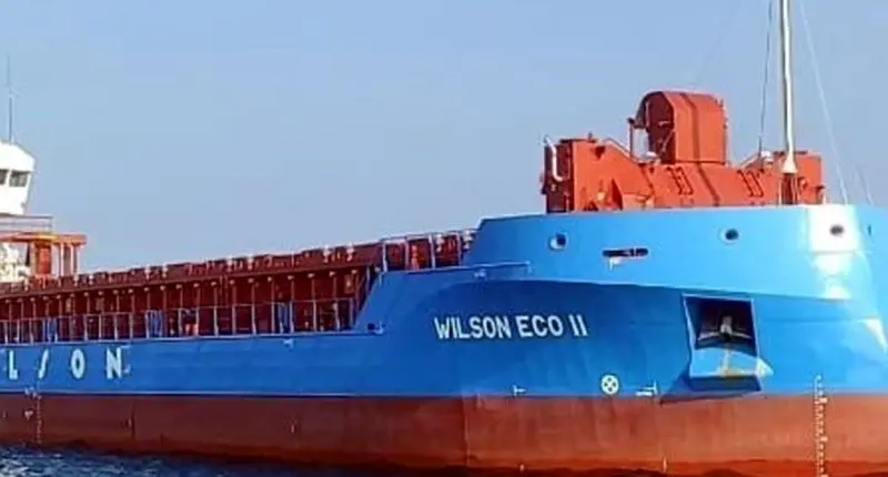 Wilson Eco II