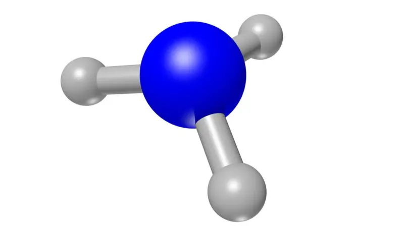 Ammonia molecule