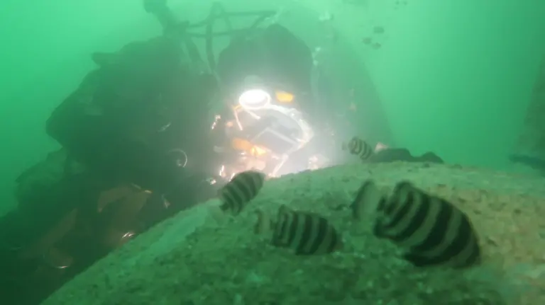 Hydrex - Underwater Repair Solutions