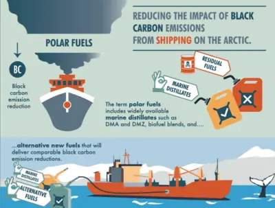 Graphic showing how black carbon from ships is damaging the Arctic